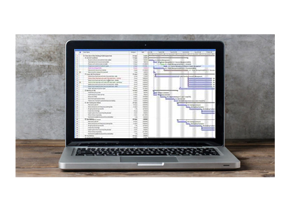 MS-Project