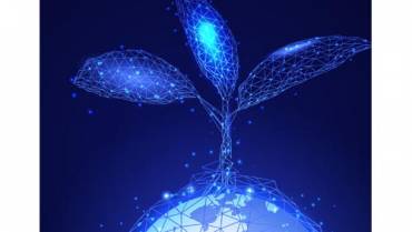 Fondo Nuove Competenze 2024 – Digital & Green Transition